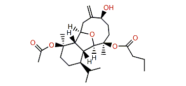 Simplexin A